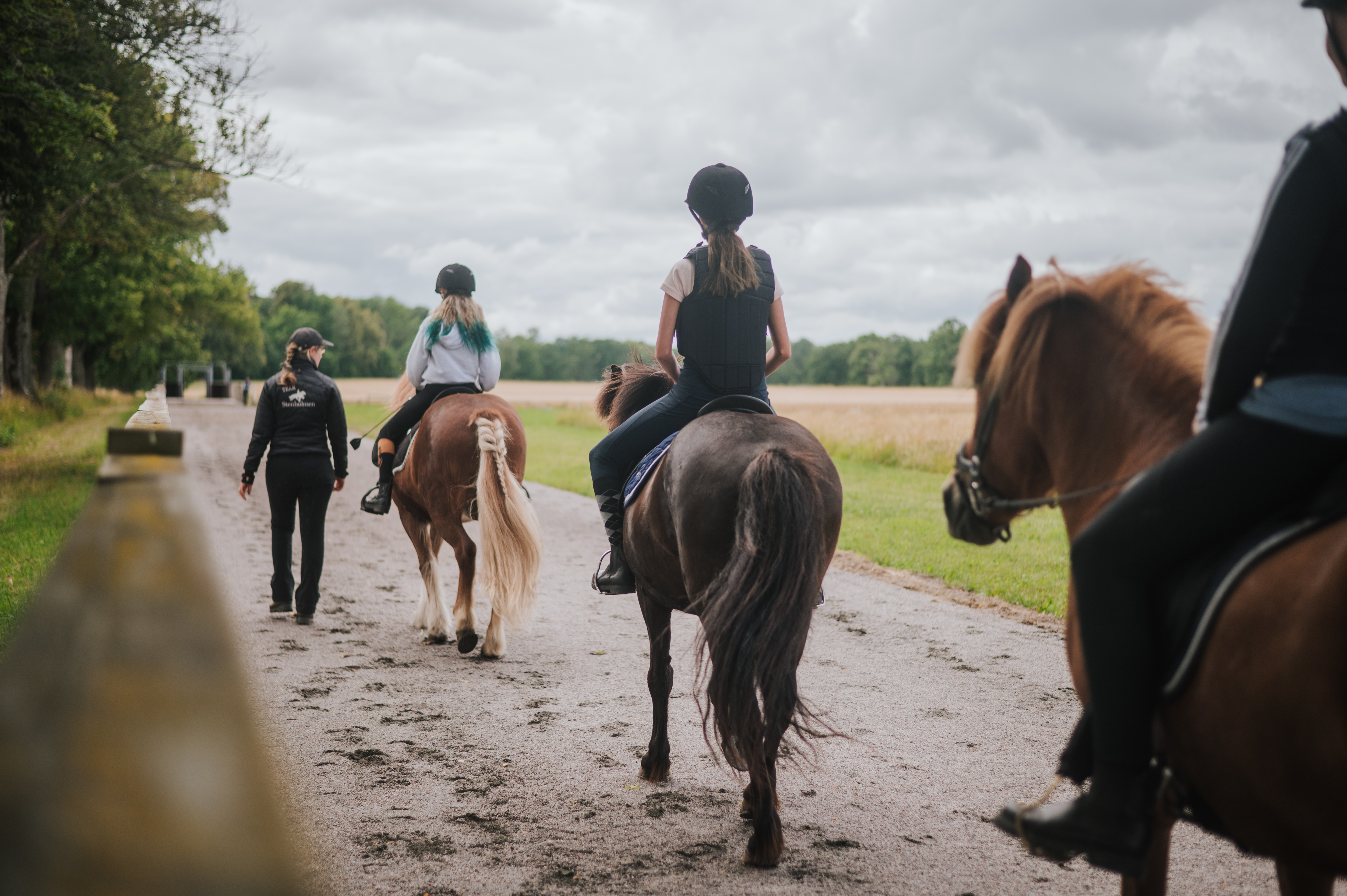 Tre ungdomar rider på islandshästar med en instruktör promenerandes bredvid på en landsväg.